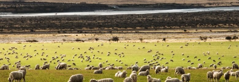 Newland Accessories: Wool  Shop In Montana, Pretoria