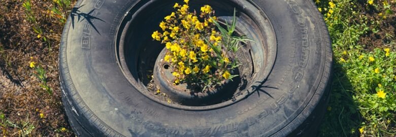 Tiger Wheel & Tyre Wonderboom: Tyre Shop In Annlin West, Pretoria